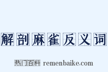 解剖麻雀反义词是什么意思的图片